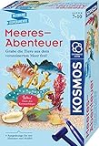 KOSMOS 658038 Meeres-Abenteuer, Grabe die Tiere aus dem versteinerten Meer frei. Mit Muschel-Kettenanhänger, Experimentierset für Kinder ab 7-10 Jahre, Deko, Schmuck, Mitbringsel, kleines Geschenk