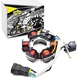 Area1 Ersatz Lichtmaschine Stator für 50ccm ab Bj. 99 - Für NRG TPH Zip Liberty Free, Runner, ET2 LX LXV S Primavera, SR 50R Scarabeo Sportcity Motard GP1