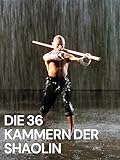 Die 36 Kammern der Shaolin