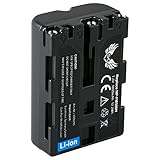 SK Akku Ersatz für Sony NP-FM500H | 1650mAh | NP-FM500 Sony Alpha 57 77 99 II A57 A58 A65 A68 A77 A77V A99 II DSLR A450 A580 A700 A850 A900