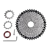 10-Fach Kassette (11-42 Zähne), Kassette 10fach 11-42, Fahrrad Freilauf 10-Gang 11-42 Zähne Rennrad Mountainbike Kassette Zahnkranz Fahrradzubehör für