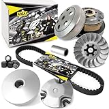 Area1 Variomatik-Set mit Keilriemen und Wandler für Motorroller mit 50ccm 2T Motor. Kompatibel mit Aerox Neos Jog Nitro Ovetto MachG Booster, bis 2000