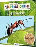 Meine große Tierbibliothek: Die Ameise: Sachbuch für Vorschule & Grundschule