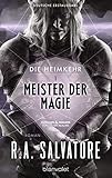 Die Heimkehr 1 - Meister der Magie: Roman