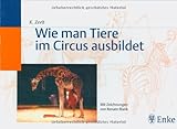 Wie man Tiere im Circus ausbildet