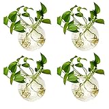 NUPTIO Wandvase für Pflanzen Innen Glas: Blumen Wandbehang Glasvase für Wohnzimmer Wand Deko - Wasser Hängetöpfe Vasen Luft Blumenvase Terrarien für Raum Dekoration 4er-Set