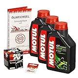 Motul 10W-40 Öl + K&N Ölfilter für Honda XRV 750 Africa Twin, 90-03, RD04 RD07 - Ölwechselset inkl. Motoröl, Filter, Dichtring