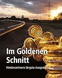 Im Goldenen Schnitt: Niedersachsens längste Ausgrabung