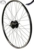 Redondo 28 Zoll Hinterrad Felge Schwarz Nexus Inter 8 Nabenschaltung