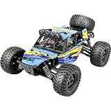 Reely RAW Orange Brushed 1:14 RC Modellauto Elektro Monstertruck Allradantrieb (4WD) RTR 2,4 GHz Inkl. Akku und Ladeger