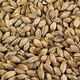 1 kg Pilsner Malz für helle Biersorten EBC 3-5