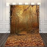(SP) NIVIUS PHOTO 150 x 220 cm Pictorial Cloth (dünnes Vinyl) Herbstwald, dünner Stoff, bedruckter Hintergrund für Studio, Newborn Fotohintergrund gratis Versand D-2797