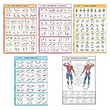 SPORTAXIS laminierte Workout-Poster für daheim ohne Geräte, Farbabbildungen, Bodyweight-Grund-/Aufbauübungen, Yoga, Abs-Training für Männer und Frauen, 45,7 x 68,6 cm, 5 Stück, englische Version