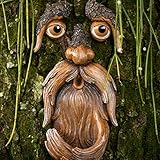 Baumgesicht Vogelfutterstation, Baum Gesichter Dekor, Alter Mann Baumgesicht, Neuheit Wildvogelfutter Station, Kunstharz Vogelfutter Station Garten Dekoration, Hof Im Freien Lustige Skurrile Dekor