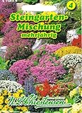 Steingarten Mischung mehrjährig Staude