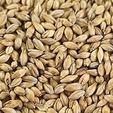 1 kg Pale Ale Malz für Lagerbiere und Ales EBC 5,5-7,5
