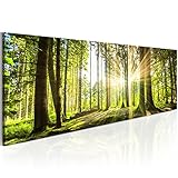 B&D XXL Acrylglasbild 135x45 cm 1 Teilig Wandbild auf Acryl Glasbilder Kunstdruck Moderne Acrylglas Platte Wanddekoration Geschenke Heimdekoration Glasbild c-B-0077-k-b