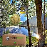 200 x 90 g = 18 kg Meisenknödel Marke Vogelfood Vogelfutter 4 Jahreszeitenknödel Wildvogelfutter Ganzjahresfutter Fettfutter mit Netz