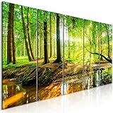 B&D XXL Acrylglasbild Wald 200x80 cm 5 Teilig Wandbild auf Acryl Glasbilder Kunstdruck Moderne Acrylglas Platte Wanddekoration Geschenke Heimdekoration Glasbild - Landschaft Natur c-B-0241-k-m