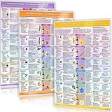 [3er Set] Das große Bachblüten-Komplett-Set ― Alle 38 Bachblüten im Überblick: Emotionale Beschwerden verstehen, lösen & Blütenwirkung erleben | Für Praxis & Alltag | DIN A4, laminiert