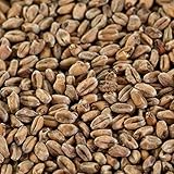 1 kg Weizenmalz dunkel für dunkle Biere EBC 14-18