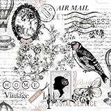 20 Servietten Poetie - Vintage Air Mail/Vogel/Old Fashion/Schmetterling 33x33cm