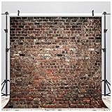 LYWYGG 8x8FT Backsteinmauer Foto Hintergrund - Braune Mauer für Familienfeier, Party, Baby Prop Fotografie - Fotostudio Hintergrund CP-312-0808