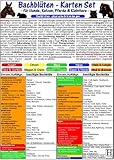 Bachblüten-Karten Set - Tierheilkunde-Karte: Bachblüten-Karte für Hunde, Katzen, Kleintiere & Pferde "physische Erkrankungen" /Bachblüten-Karte für ... & Pferde "Verhaltensweisen & Gemütszustände"