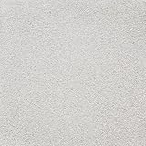 Aquarium-Kies Bodengrund QUARZSAND Garnelensand, sehr fein ca 0,1-0,5 mm/Natur/HELL / 5 kg.