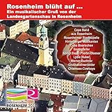 Starbulls - endlich seid ihr da