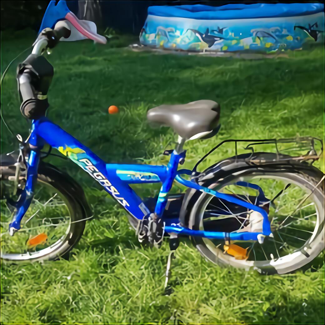 Fahrrad Pegasus 20 gebraucht kaufen! Nur 4 St. bis 60