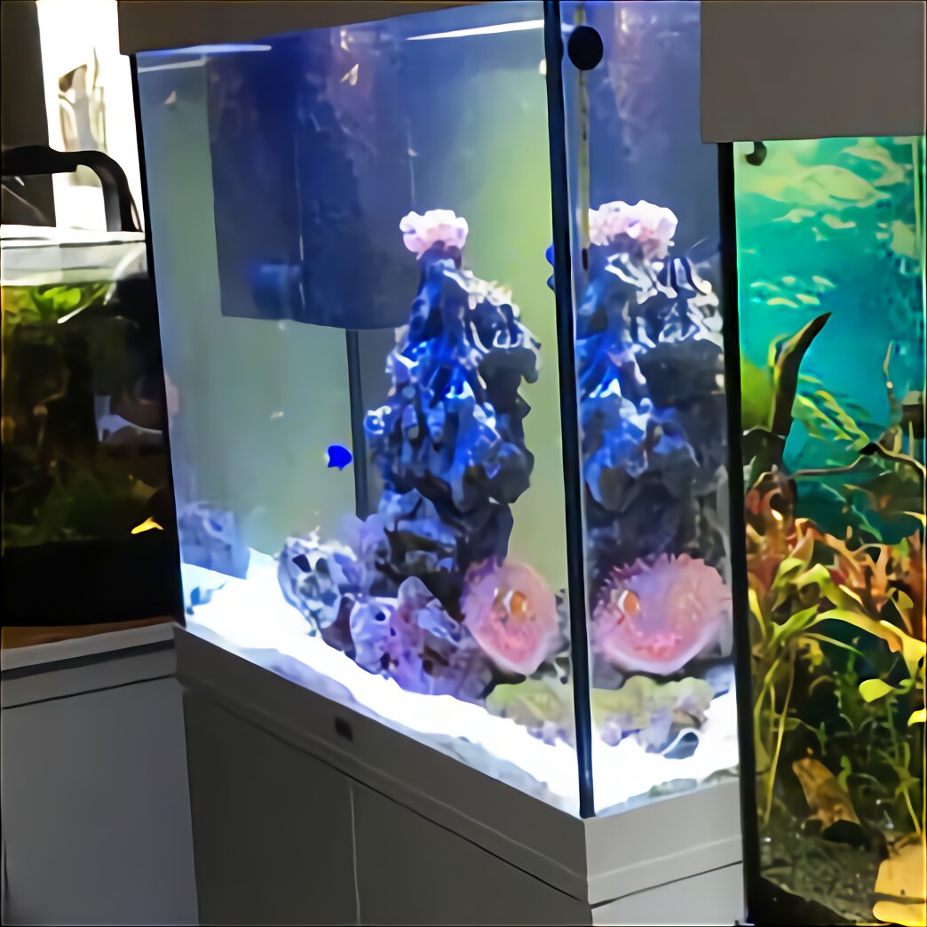 Meerwasseraquarium Komplett gebraucht kaufen! Nur 2 St. bis -75% günstiger