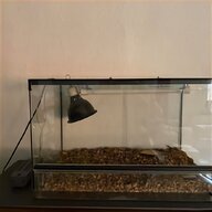 terrarium leguan gebraucht kaufen