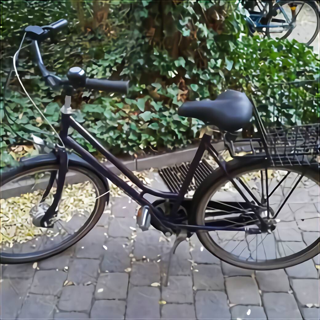 fahrrad pegasus 26