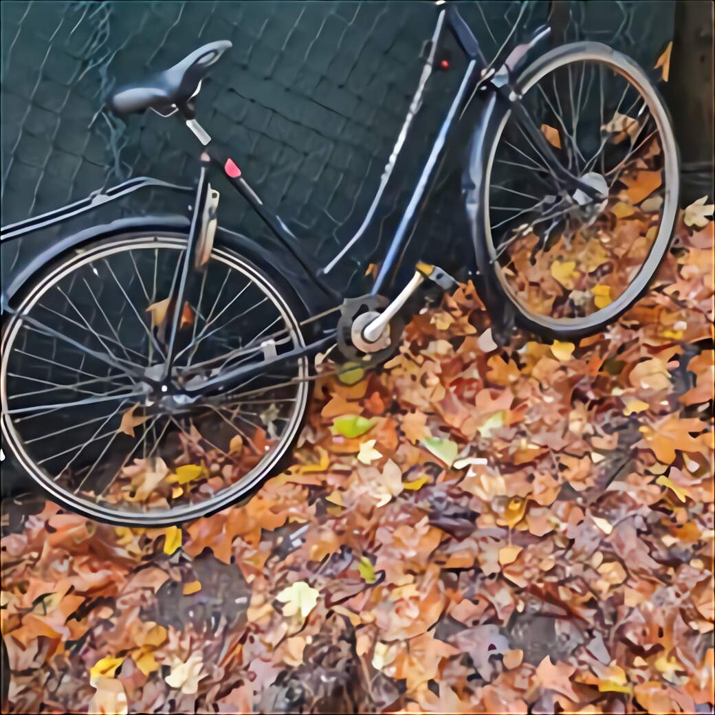 Fahrrad Oldenburg gebraucht kaufen! Nur 2 St. bis 75