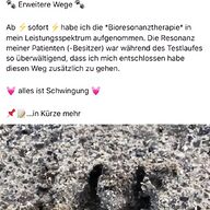 bioresonanztherapie gebraucht kaufen