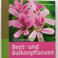 balkonpflanzen gebraucht kaufen