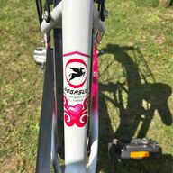 madchen fahrrad 24 pegasus gebraucht kaufen