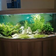 500 liter tank gebraucht kaufen