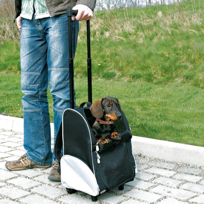 Hunde Reisetasche gebraucht kaufen! Nur 2 St. bis 75 günstiger