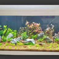 aquarium 400l gebraucht kaufen