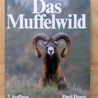 muffelwild gebraucht kaufen