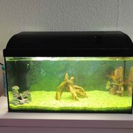 komplettaquarium gebraucht kaufen