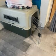 hundebox l gebraucht kaufen