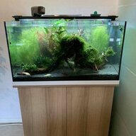 komplettaquarium gebraucht kaufen