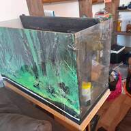 komplettaquarium gebraucht kaufen