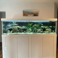 komplettaquarium gebraucht kaufen