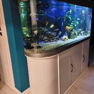 komplettaquarium gebraucht kaufen