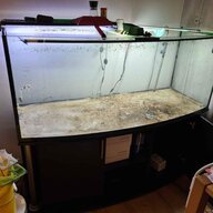 komplettaquarium gebraucht kaufen