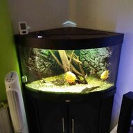 komplettaquarium gebraucht kaufen